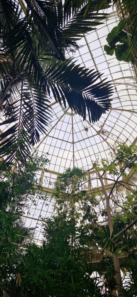 National Botinacal Gardens Dublin